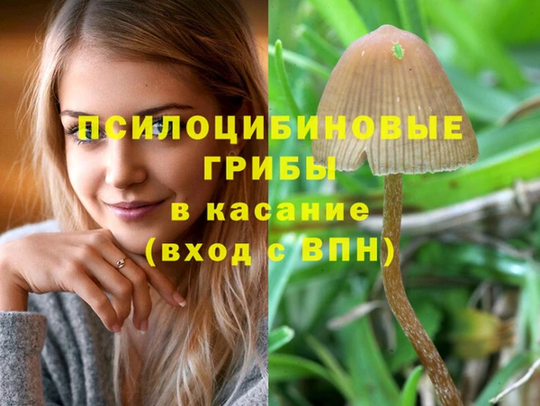 спайс Вязьма