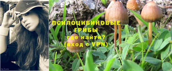 спайс Вязьма