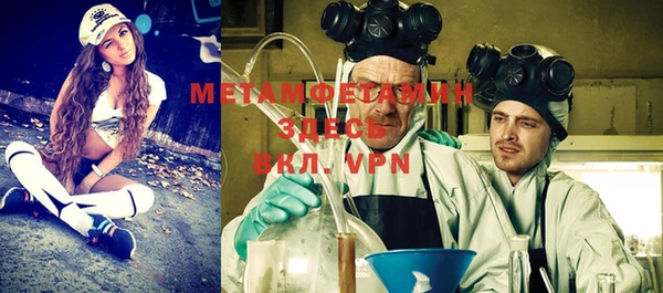 PSILOCYBIN Вяземский
