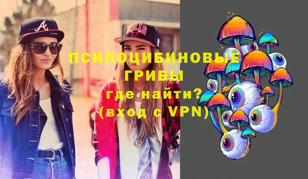 спайс Вязьма