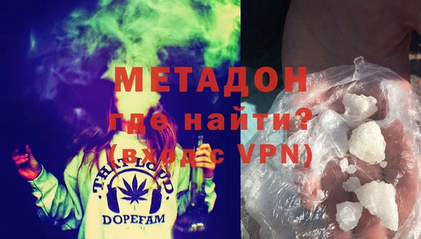 шишки Горняк