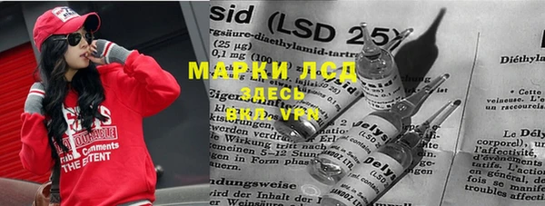 PSILOCYBIN Вяземский