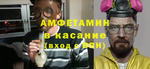 шишки Горняк